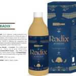 Radix